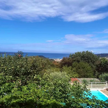 Ficur With Swimming Pool & Grill, *